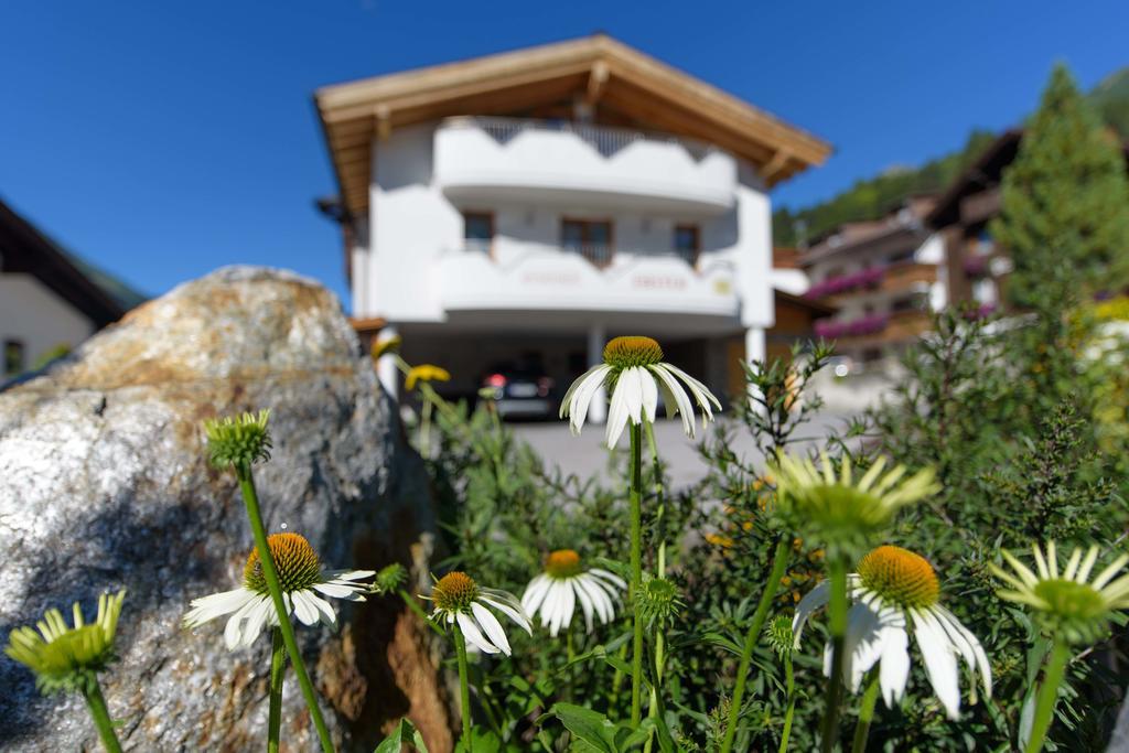 Ebster * Pettneu am Arlberg
